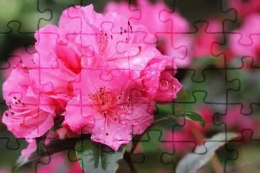 OK jigsaw puzzle