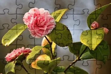 OK jigsaw puzzle