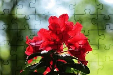 OK jigsaw puzzle