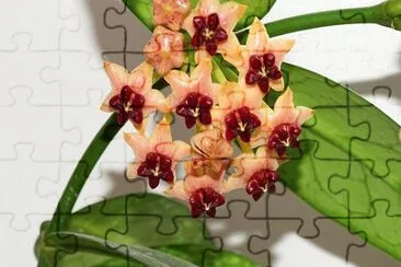 OK jigsaw puzzle