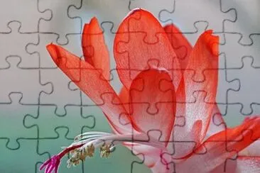 OK jigsaw puzzle
