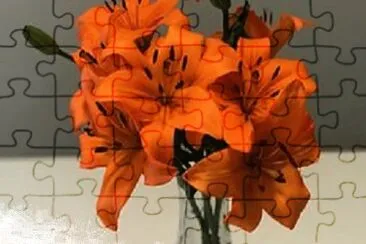 OK jigsaw puzzle