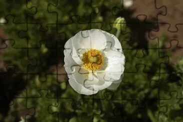 OK jigsaw puzzle