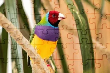 Foto jigsaw puzzle