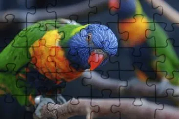 Foto jigsaw puzzle
