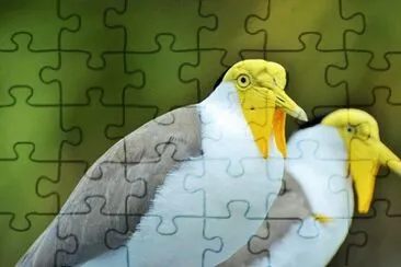 Foto jigsaw puzzle