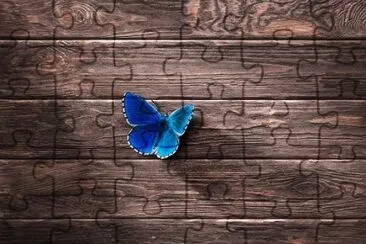 Foto jigsaw puzzle