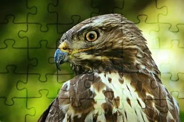 Foto jigsaw puzzle