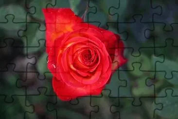 OK jigsaw puzzle