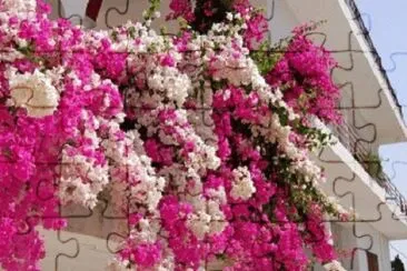 OK jigsaw puzzle