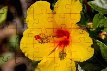 OK jigsaw puzzle
