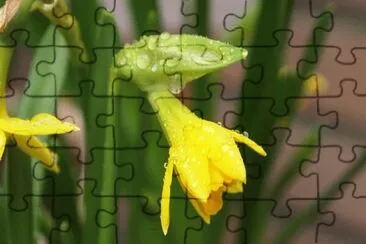 OK jigsaw puzzle