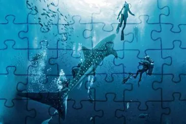 Foto jigsaw puzzle