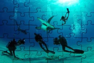 Foto jigsaw puzzle