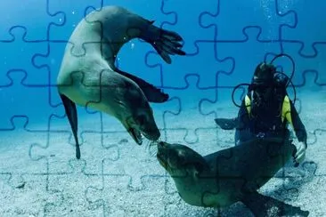 Foto jigsaw puzzle