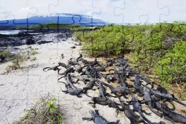 Foto jigsaw puzzle