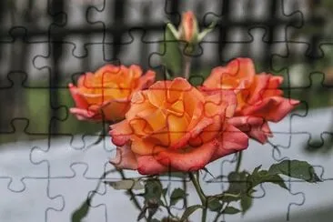 Toy jigsaw puzzle