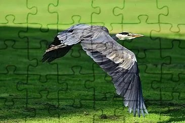 Foto jigsaw puzzle