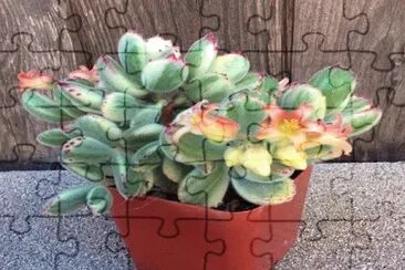607 jigsaw puzzle