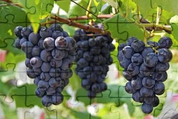 Foto jigsaw puzzle