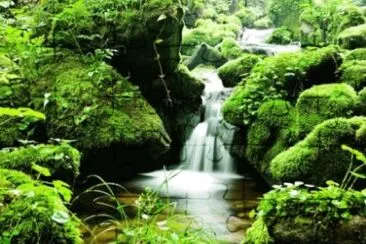 Foto jigsaw puzzle