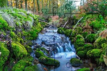 Foto jigsaw puzzle