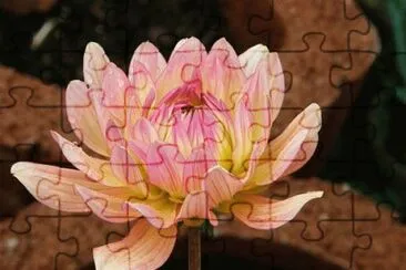 OK jigsaw puzzle