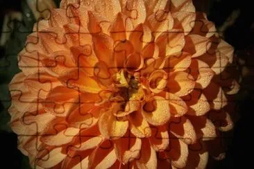 OK jigsaw puzzle