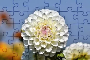OK jigsaw puzzle