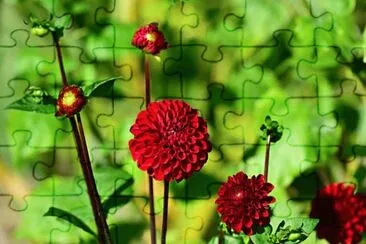 OK jigsaw puzzle