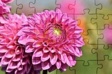 OK jigsaw puzzle