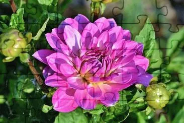OK jigsaw puzzle