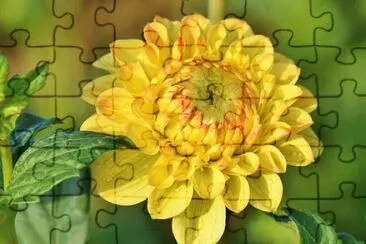 OK jigsaw puzzle