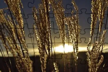 Foto jigsaw puzzle