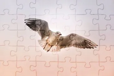 Foto jigsaw puzzle