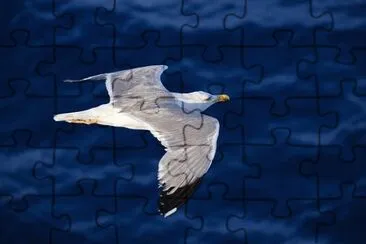 Foto jigsaw puzzle