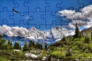 naturaleza jigsaw puzzle