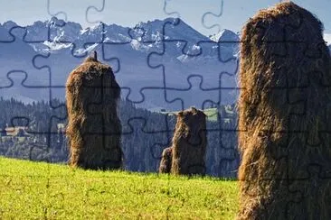 Foto jigsaw puzzle
