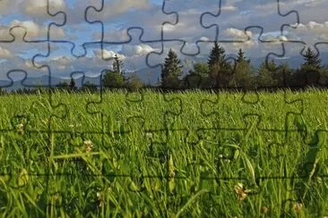 פאזל של Foto