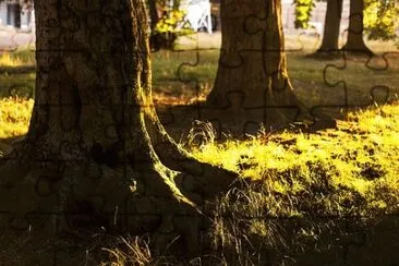 Foto jigsaw puzzle