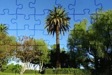 Foto jigsaw puzzle