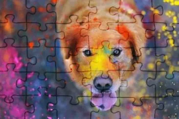 Foto jigsaw puzzle