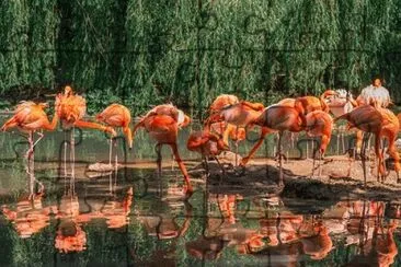 Foto jigsaw puzzle