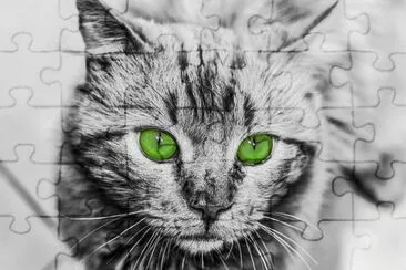 Foto jigsaw puzzle