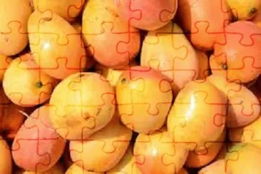  jigsaw puzzle