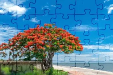 Foto jigsaw puzzle