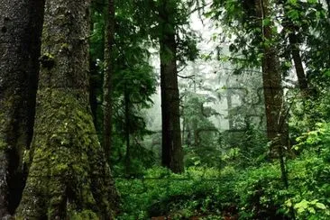 Foto jigsaw puzzle