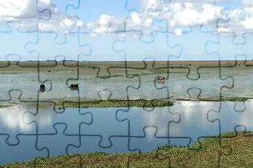 Foto jigsaw puzzle