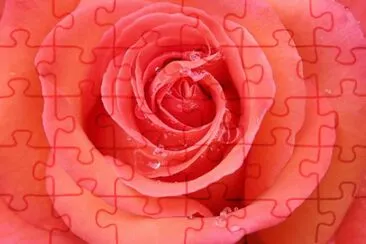  jigsaw puzzle