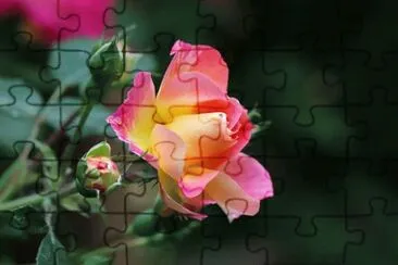  jigsaw puzzle